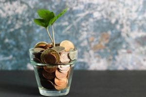 Plant growing from pot of money
