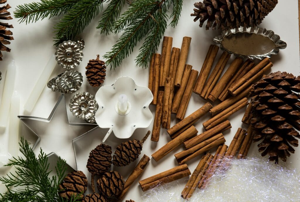 Festive items on a white tablecloth including cinnamon sticks, cookie cutters, pine cones and sprigs of pine.